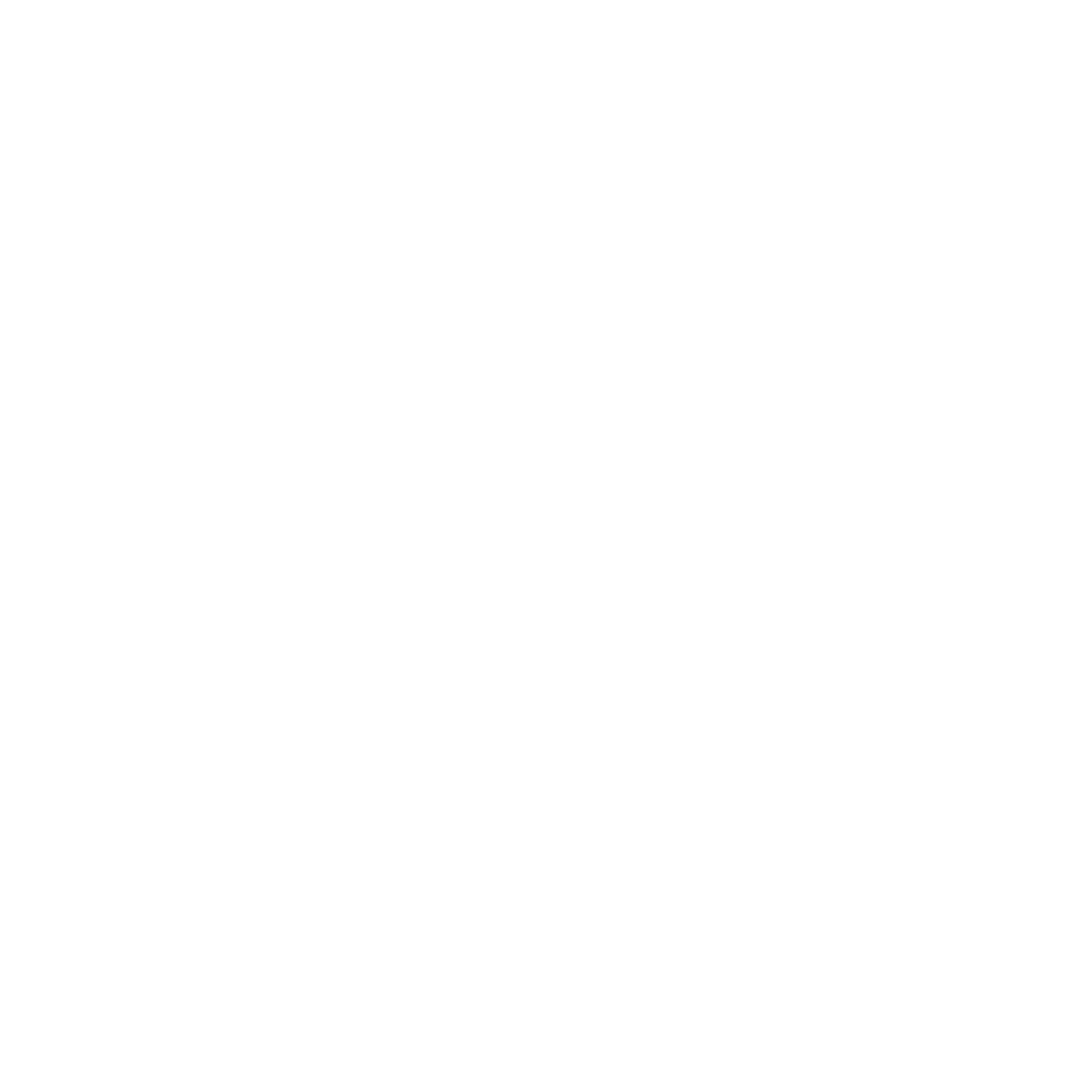 FIGHTERS logo